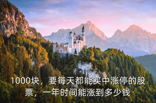 1000塊，要每天都能買中漲停的股票，一年時(shí)間能漲到多少錢