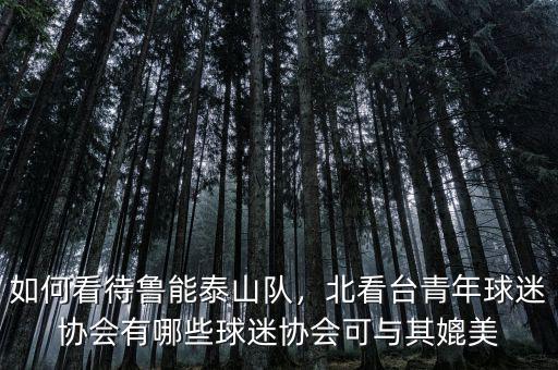如何看待魯能泰山隊(duì)，北看臺(tái)青年球迷協(xié)會(huì)有哪些球迷協(xié)會(huì)可與其媲美