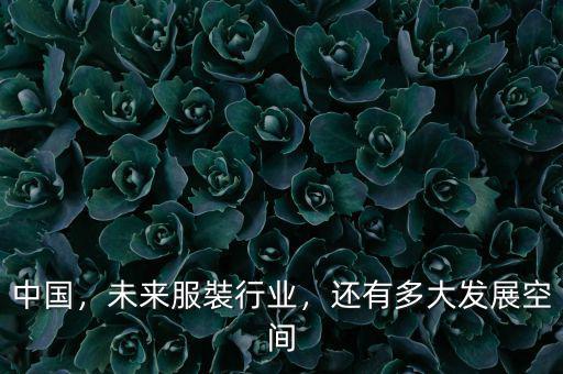 中國，未來服裝行業(yè)，還有多大發(fā)展空間