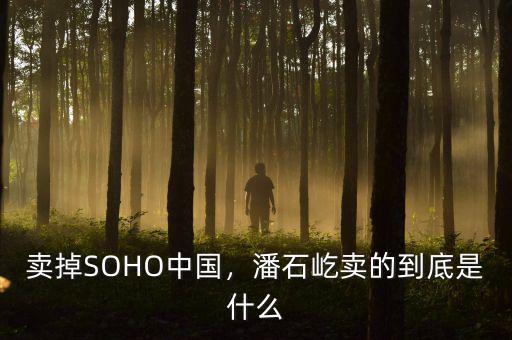 賣掉SOHO中國(guó)，潘石屹賣的到底是什么