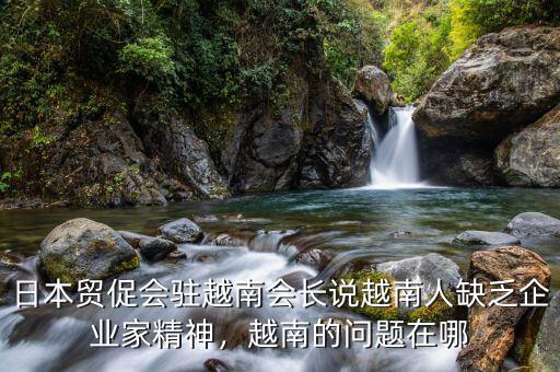 日本貿(mào)促會(huì)駐越南會(huì)長(zhǎng)說(shuō)越南人缺乏企業(yè)家精神，越南的問(wèn)題在哪