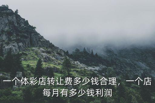 一個體彩店轉讓費多少錢合理，一個店每月有多少錢利潤