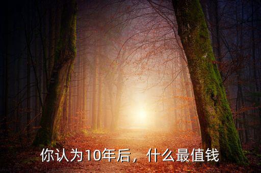 你認(rèn)為10年后，什么最值錢