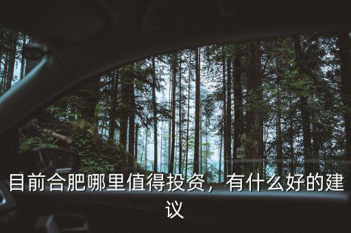 目前合肥哪里值得投資，有什么好的建議