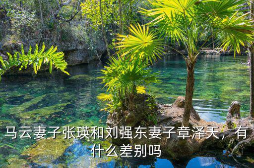 馬云妻子張瑛和劉強(qiáng)東妻子章澤天，有什么差別嗎