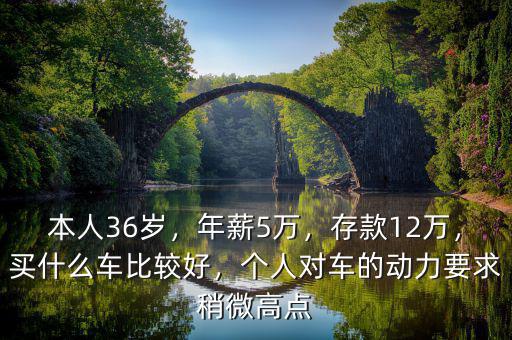 本人36歲，年薪5萬，存款12萬，買什么車比較好，個人對車的動力要求稍微高點