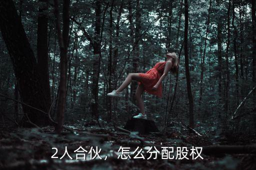 2人合伙，怎么分配股權(quán)