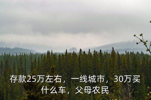 存款25萬左右，一線城市，30萬買什么車，父母農(nóng)民