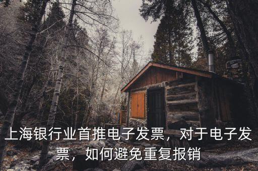 上海銀行業(yè)首推電子發(fā)票，對(duì)于電子發(fā)票，如何避免重復(fù)報(bào)銷