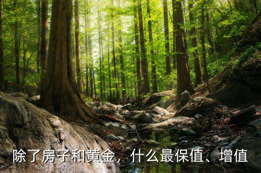 除了房子和黃金，什么最保值、增值