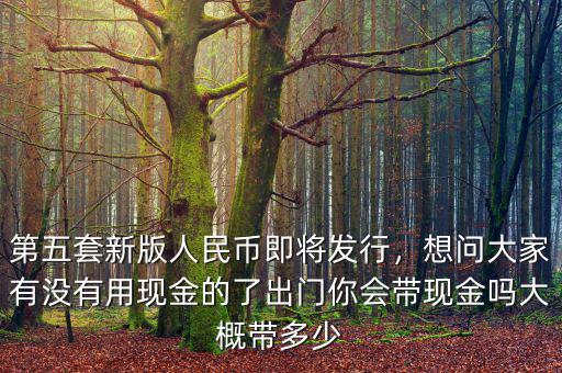 第五套新版人民幣即將發(fā)行，想問大家有沒有用現(xiàn)金的了出門你會帶現(xiàn)金嗎大概帶多少