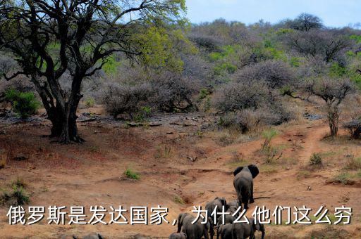 俄羅斯是發(fā)達國家，為什么他們這么窮