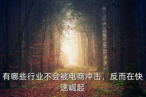 有哪些行業(yè)不會被電商沖擊，反而在快速崛起