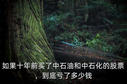 如果十年前買了中石油和中石化的股票，到底虧了多少錢