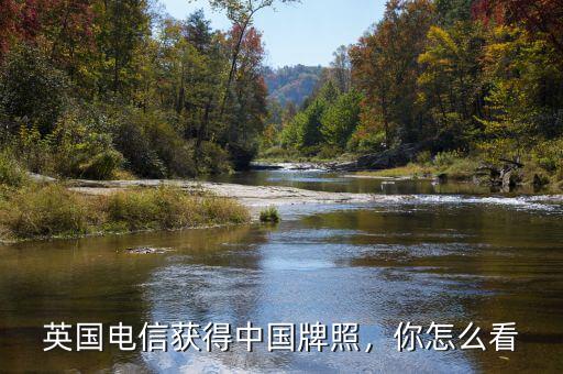 英國電信獲得中國牌照，你怎么看