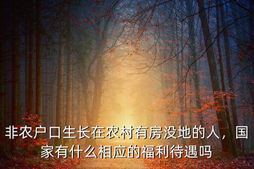 非農(nóng)戶口生長(zhǎng)在農(nóng)村有房沒地的人，國(guó)家有什么相應(yīng)的福利待遇嗎