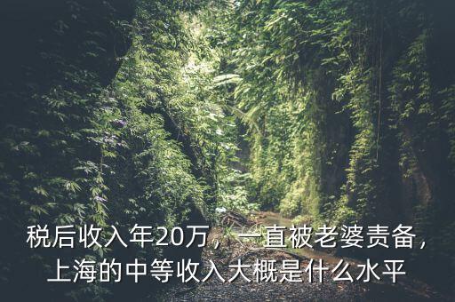 稅后收入年20萬(wàn)，一直被老婆責(zé)備，上海的中等收入大概是什么水平
