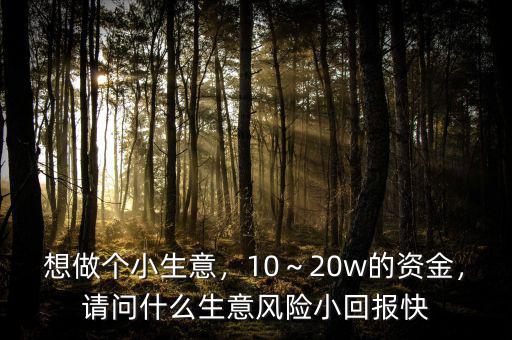 想做個小生意，10～20w的資金，請問什么生意風險小回報快