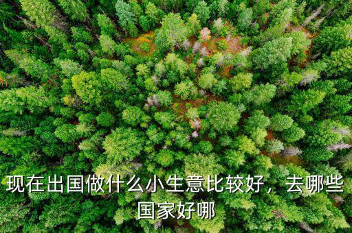 現(xiàn)在出國做什么小生意比較好，去哪些國家好哪