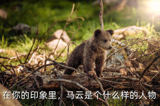 在你的印象里，馬云是個(gè)什么樣的人物
