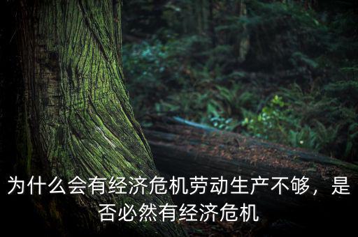 為什么會有經(jīng)濟(jì)危機(jī)勞動生產(chǎn)不夠，是否必然有經(jīng)濟(jì)危機(jī)