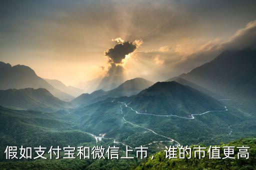 假如支付寶和微信上市，誰(shuí)的市值更高