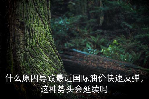 什么原因?qū)е伦罱鼑H油價(jià)快速反彈，這種勢頭會(huì)延續(xù)嗎