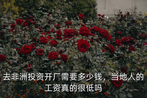 去非洲投資開廠需要多少錢，當?shù)厝说墓べY真的很低嗎