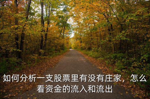 如何分析一支股票里有沒有莊家，怎么看資金的流入和流出
