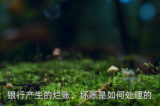 銀行產(chǎn)生的爛賬、壞賬是如何處理的