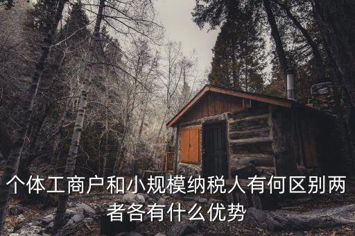 個(gè)體工商戶和小規(guī)模納稅人有何區(qū)別兩者各有什么優(yōu)勢