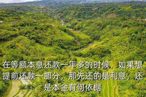 在等額本息還款一年多的時候，如果想提前還款一部分，那先還的是利息，還是本金有何依據(jù)