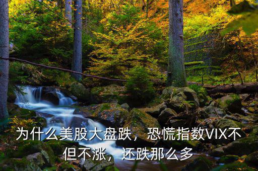 為什么美股大盤跌，恐慌指數(shù)VIX不但不漲，還跌那么多