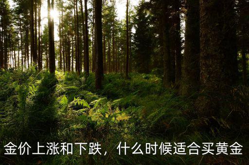 金價(jià)上漲和下跌，什么時(shí)候適合買黃金