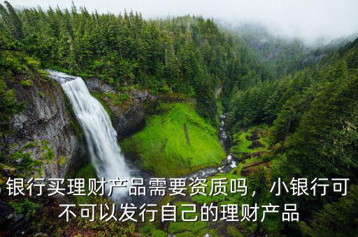 銀行買理財產品需要資質嗎，小銀行可不可以發(fā)行自己的理財產品
