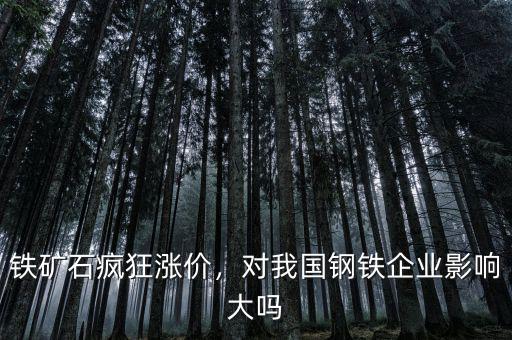鐵礦石瘋狂漲價(jià)，對我國鋼鐵企業(yè)影響大嗎