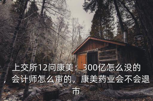 上交所12問康美：300億怎么沒的，會(huì)計(jì)師怎么審的，康美藥業(yè)會(huì)不會(huì)退市