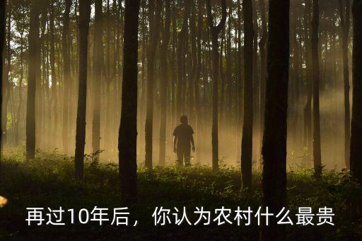 再過10年后，你認(rèn)為農(nóng)村什么最貴