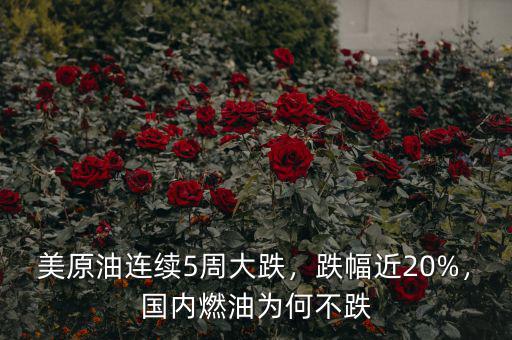 美原油連續(xù)5周大跌，跌幅近20%，國內(nèi)燃油為何不跌