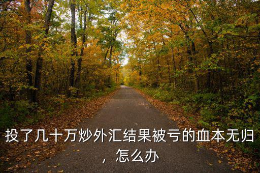 投了幾十萬炒外匯結(jié)果被虧的血本無歸，怎么辦