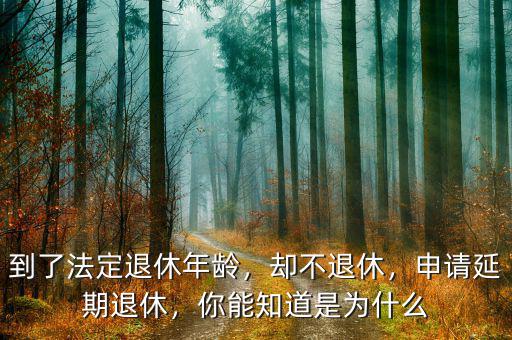到了法定退休年齡，卻不退休，申請(qǐng)延期退休，你能知道是為什么