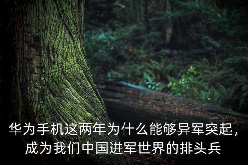 華為手機(jī)這兩年為什么能夠異軍突起，成為我們中國進(jìn)軍世界的排頭兵