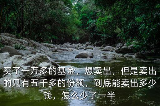 買了一萬多的基金，想賣出，但是賣出的只有五千多的份額，到底能賣出多少錢，怎么少了一半