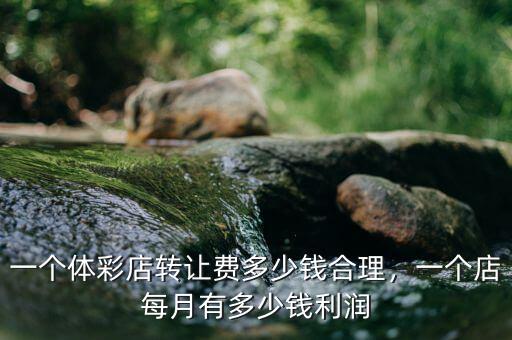 一個(gè)體彩店轉(zhuǎn)讓費(fèi)多少錢合理，一個(gè)店每月有多少錢利潤(rùn)
