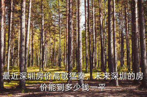 最近深圳房?jī)r(jià)高歌猛奏，未來深圳的房?jī)r(jià)能到多少錢一平