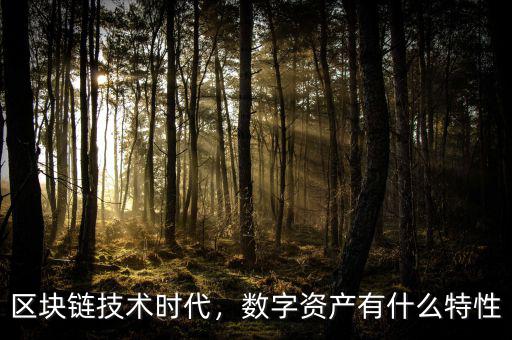 區(qū)塊鏈技術(shù)時(shí)代，數(shù)字資產(chǎn)有什么特性