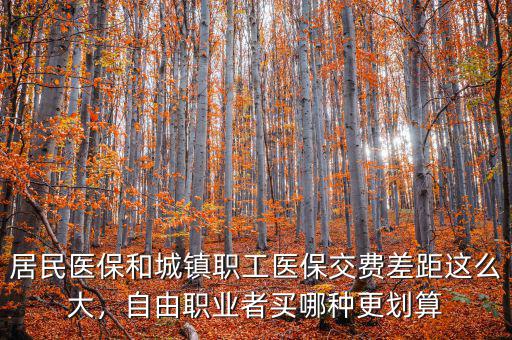 居民醫(yī)保和城鎮(zhèn)職工醫(yī)保交費(fèi)差距這么大，自由職業(yè)者買(mǎi)哪種更劃算