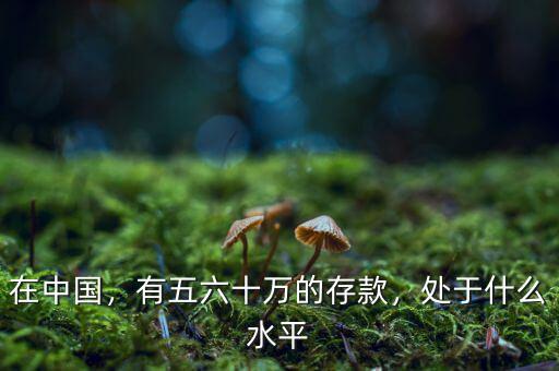 在中國(guó)，有五六十萬(wàn)的存款，處于什么水平