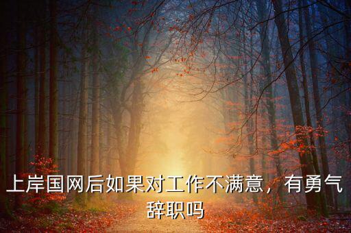 上岸國網(wǎng)后如果對工作不滿意，有勇氣辭職嗎
