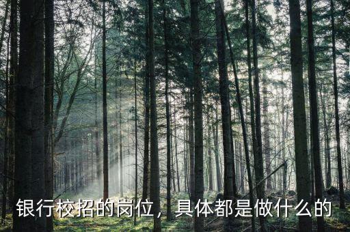 銀行校招的崗位，具體都是做什么的